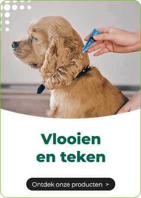 https://www.multipharma.be/dw/image/v2/BDGN_PRD/on/demandware.static/-/Library-Sites-MultipharmaSharedLibrary/default/dw1662ea8c/Home/Category%20Landing%20Pages/Dieren/carte-chien-puce-nl.png