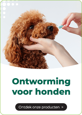 https://www.multipharma.be/dw/image/v2/BDGN_PRD/on/demandware.static/-/Library-Sites-MultipharmaSharedLibrary/default/dw2929e8a6/Home/Category%20Landing%20Pages/Dieren/carte-chien-vermifuge-nl.png