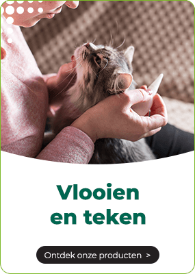 https://www.multipharma.be/dw/image/v2/BDGN_PRD/on/demandware.static/-/Library-Sites-MultipharmaSharedLibrary/default/dwae38b027/Home/Category%20Landing%20Pages/Dieren/carte-chat-puce-nl.png