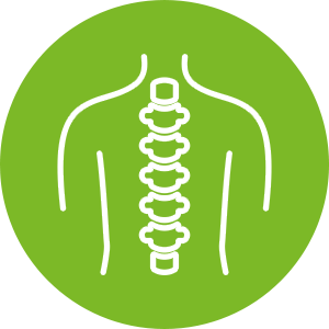 https://www.multipharma.be/dw/image/v2/BDGN_PRD/on/demandware.static/-/Library-Sites-MultipharmaSharedLibrary/default/dwb3b7a0fc/Home/Category%20Landing%20Pages/MUS/posture-picto-posture.png