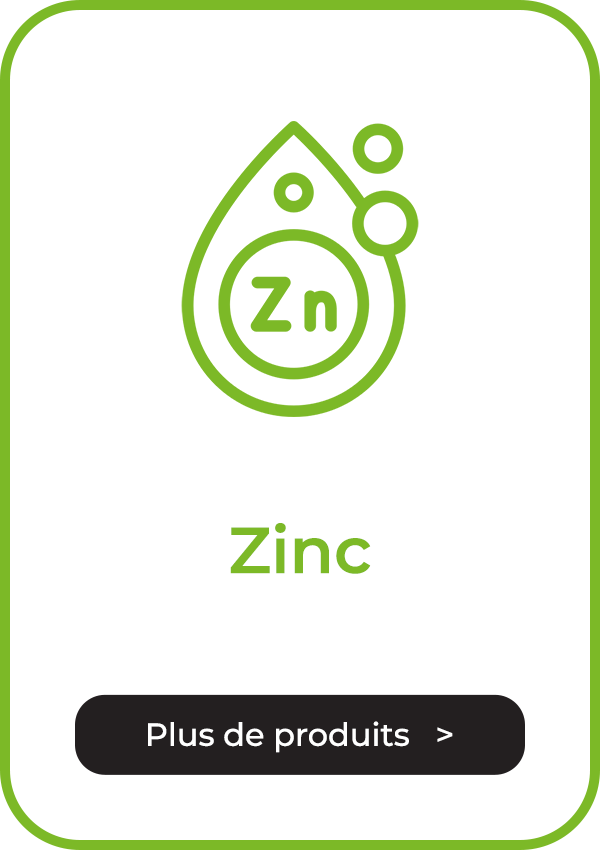 https://www.multipharma.be/dw/image/v2/BDGN_PRD/on/demandware.static/-/Library-Sites-MultipharmaSharedLibrary/fr_BE/dw2bc2df6c/Home/Category%20Landing%20Page/Vitamines/cartelette-zinc-fr.png