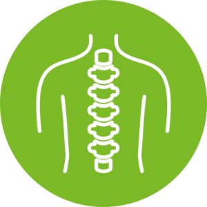 https://www.multipharma.be/dw/image/v2/BDGN_PRD/on/demandware.static/-/Library-Sites-MultipharmaSharedLibrary/fr_BE/dw5491976a/Home/Category%20Landing%20Page/MUS/posture-picto-posture.png