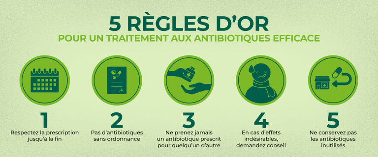 https://www.multipharma.be/dw/image/v2/BDGN_PRD/on/demandware.static/-/Library-Sites-MultipharmaSharedLibrary/fr_BE/dw68cc07ec/Blog/Seasonal-Campaigns/2025%2010%20Antibio/INFOGRAPHIE-antibiotiques-5-cle▌üs_1200x500px-FR.jpg?sw=768&sfrm=jpg
