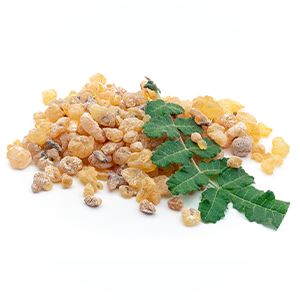 https://www.multipharma.be/dw/image/v2/BDGN_PRD/on/demandware.static/-/Library-Sites-MultipharmaSharedLibrary/fr_BE/dw83581bc6/Home/Category%20Landing%20Page/MUS/boswellia-rond.png