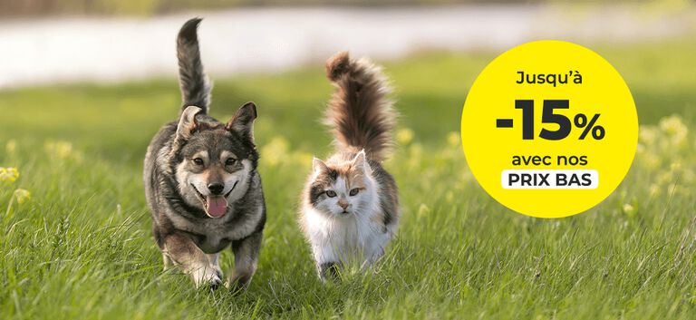 https://www.multipharma.be/dw/image/v2/BDGN_PRD/on/demandware.static/-/Library-Sites-MultipharmaSharedLibrary/fr_BE/dw90120fde/Home/Category%20Landing%20Page/Animaux/animaux-981x451-fr.jpg?sw=768&sfrm=png