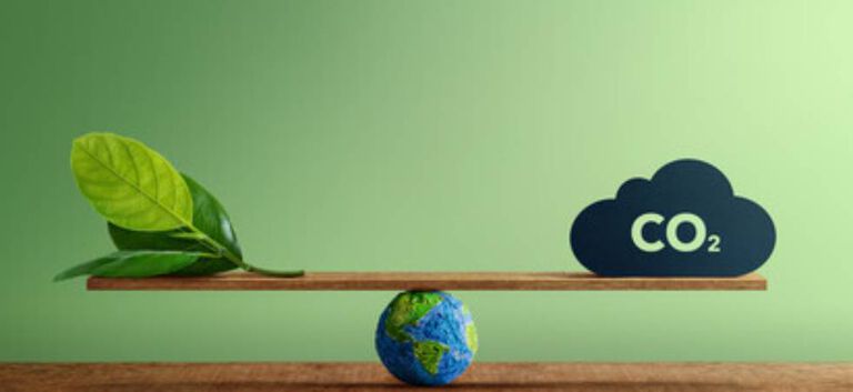 https://www.multipharma.be/dw/image/v2/BDGN_PRD/on/demandware.static/-/Library-Sites-MultipharmaSharedLibrary/fr_BE/dw9aff3b9f/Home/Homepage%20R&G/sustainability/981x451.jpg?sw=768&sfrm=jpg