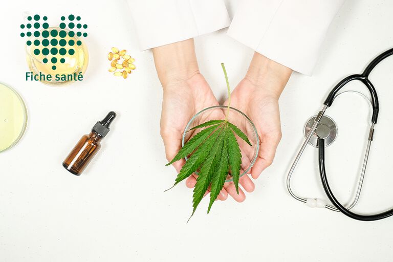 https://www.multipharma.be/dw/image/v2/BDGN_PRD/on/demandware.static/-/Library-Sites-MultipharmaSharedLibrary/fr_BE/dwa98c6506/Home/Health%20Issues/Nervous%20system/CBD/cbd-fs-981x654-fr.jpg?sw=768&sfrm=png