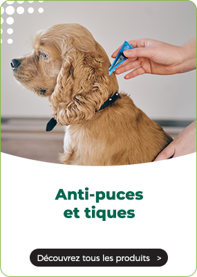 https://www.multipharma.be/dw/image/v2/BDGN_PRD/on/demandware.static/-/Library-Sites-MultipharmaSharedLibrary/fr_BE/dwc0597c0a/Home/Category%20Landing%20Page/Animaux/category-puce-desktop-fr2.png