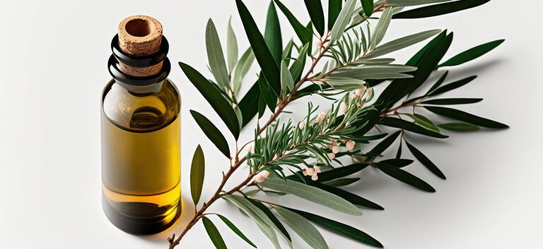 https://www.multipharma.be/dw/image/v2/BDGN_PRD/on/demandware.static/-/Library-Sites-MultipharmaSharedLibrary/fr_BE/dwd69461bc/Home/Category%20Landing%20Page/Essential%20oil%20winter/huile-essentielle-981x451-6.jpg?sw=768&sfrm=png