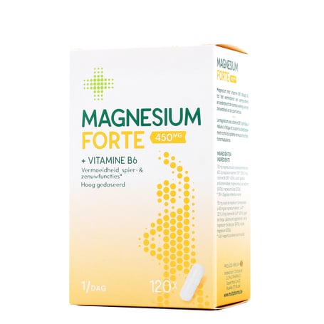 Multipharma Magnesium 450mg + vitamine B6 capsules 120st