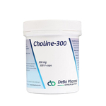 Choline 300 v-caps 100 deba