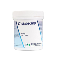 Choline 300 v-caps 100 deba