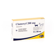 Clamoxyl comp. smakel. 10 x 200mg