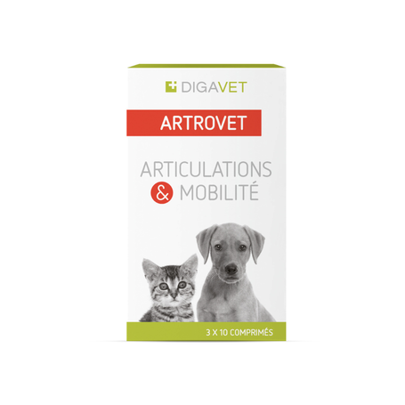 Artrovet chien chat comp 3x10