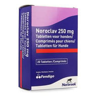 Noroclav chien comp 20x250mg