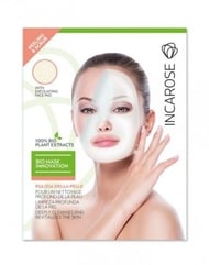 Incarose masque visage a/age filler tissu sach 1
