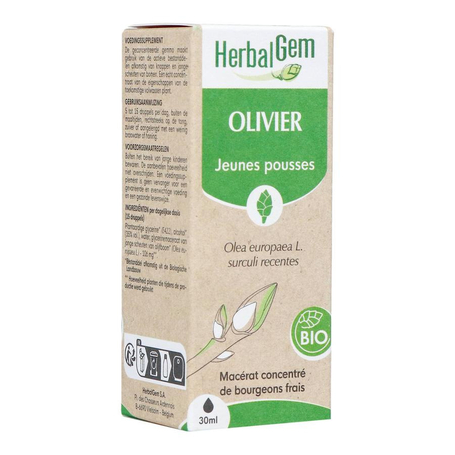 Herbalgem olivier bio 30ml