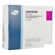 Lincocin amp ser inj 6 x 600mg/2ml