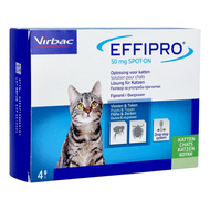 Effipro 50mg sol pour spot-on chat pip. 4x0,50ml