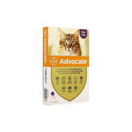 Advocate spot on sol grand chat >4- 8kg pipet 3