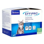 Effipro 50mg sol pour spot-on chat pip.24x0,50ml