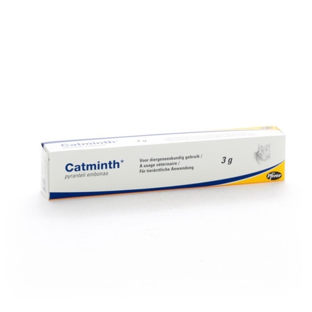 Catminth seringue 3g