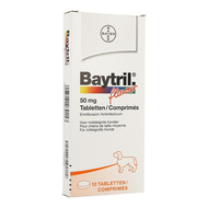 Baytril flavour chien/chat tabl 10 x 50mg