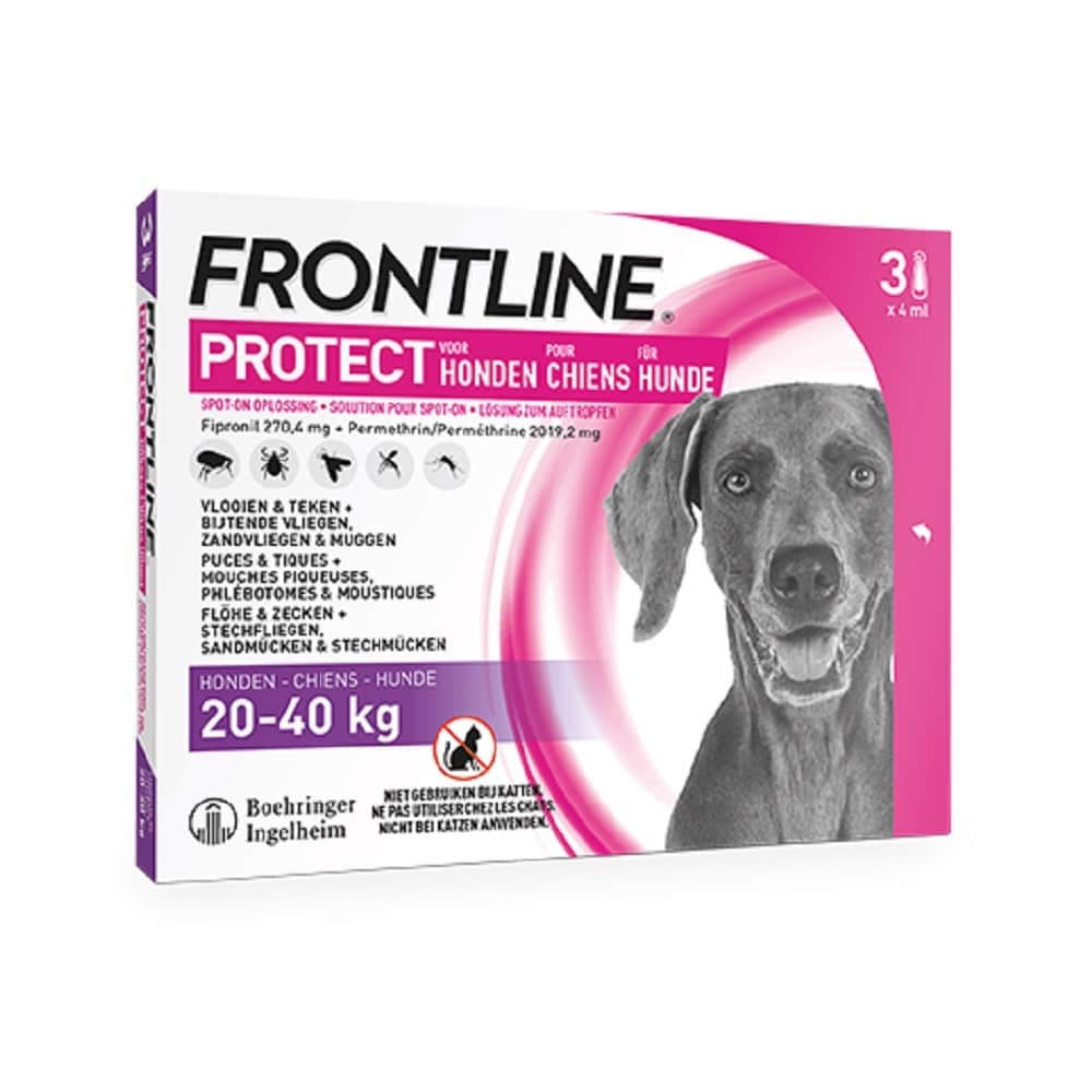 Teken een foto vergaan koper Frontline Protect Spot on hond L 20-40kg pipet 3st kopen? | Multipharma.be